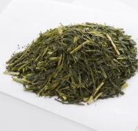 Sencha